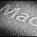 Il polistirolo decretato miglior materiale da imballaggio per alimenti